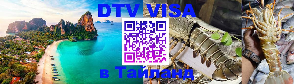 Сколько стоит DTV виза — актуальные цены, оформление даже без документов - Мурманск 